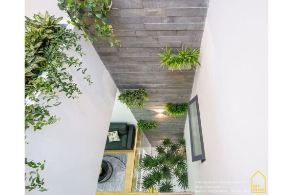 Thiết kế nhà phố cho đất hẹp bằng giếng trời.